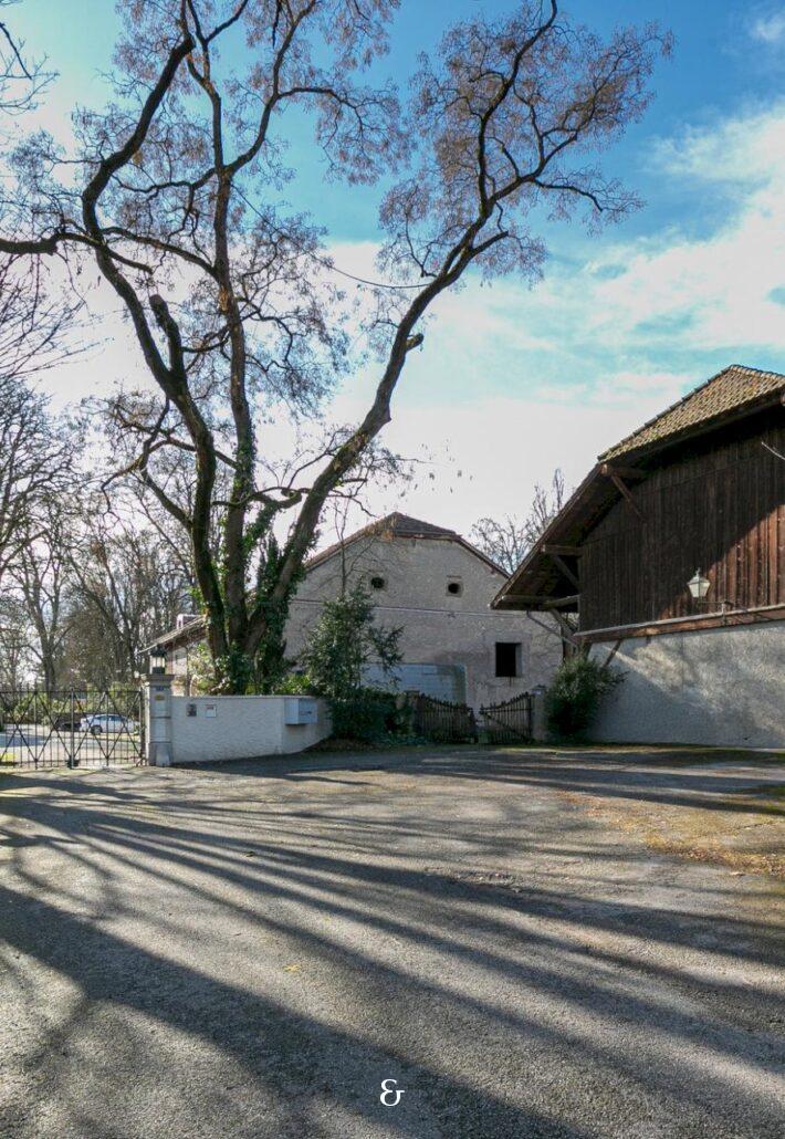 Photo 2 of the property TVECHI