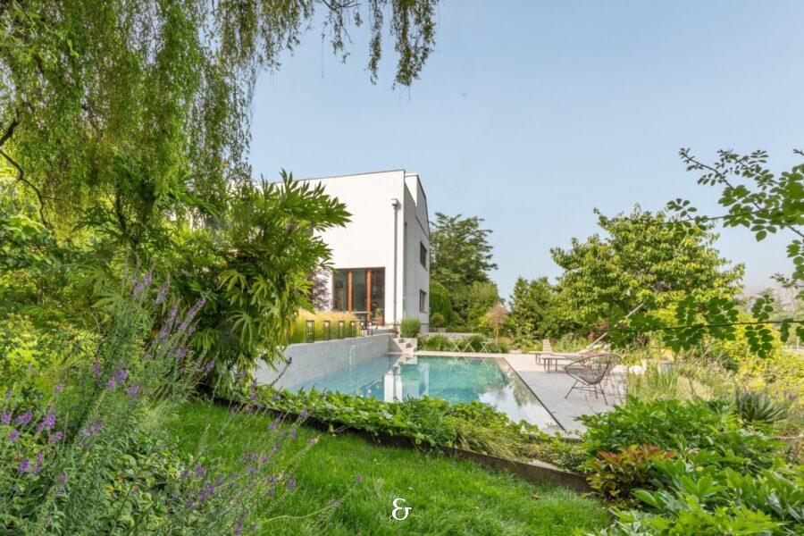 Photo 1 de l'annonce MVLRL