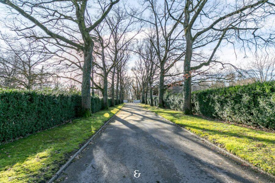 Photo 1 de l'annonce TVECHI