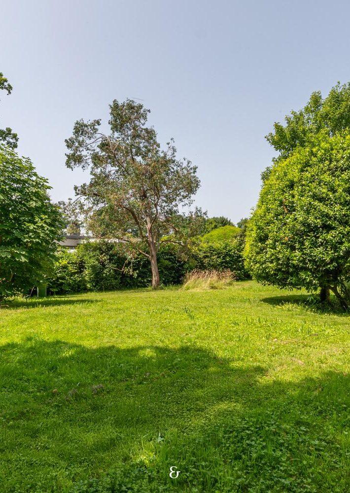 Photo 2 de l'annonce MVAS