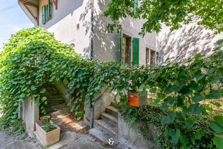 Photo 1 de l'annonce MLBST