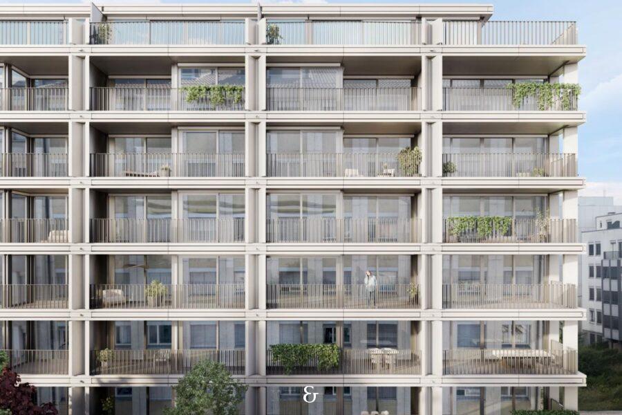 Photo 1 de l'annonce COL8_8.01