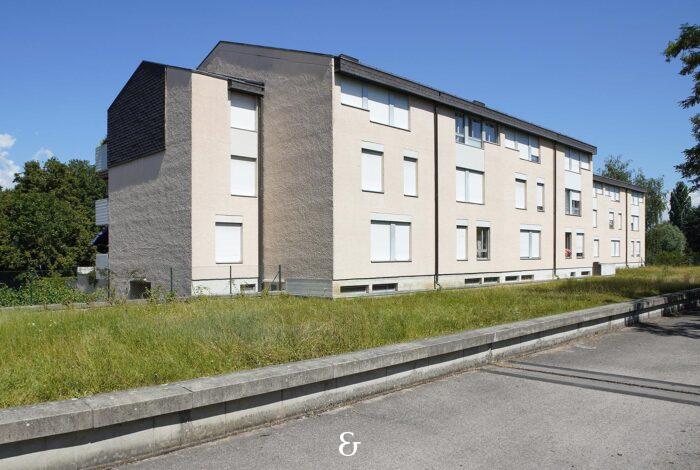 Photo 3 de l'annonce IPPM