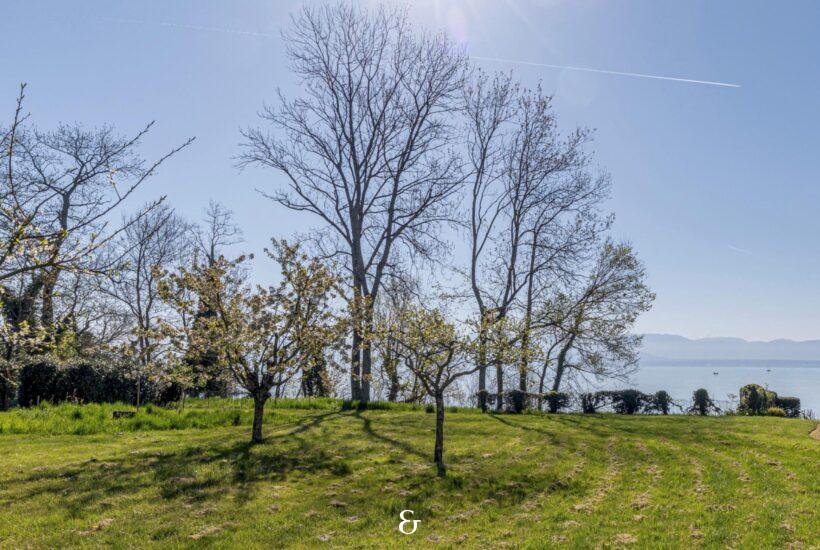 Photo 4 de l'annonce TBLT