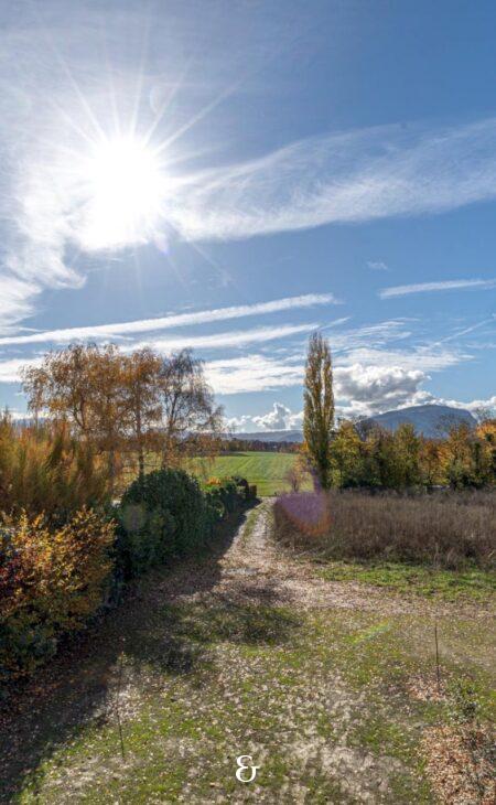 Photo 4 of the property Lullier_64