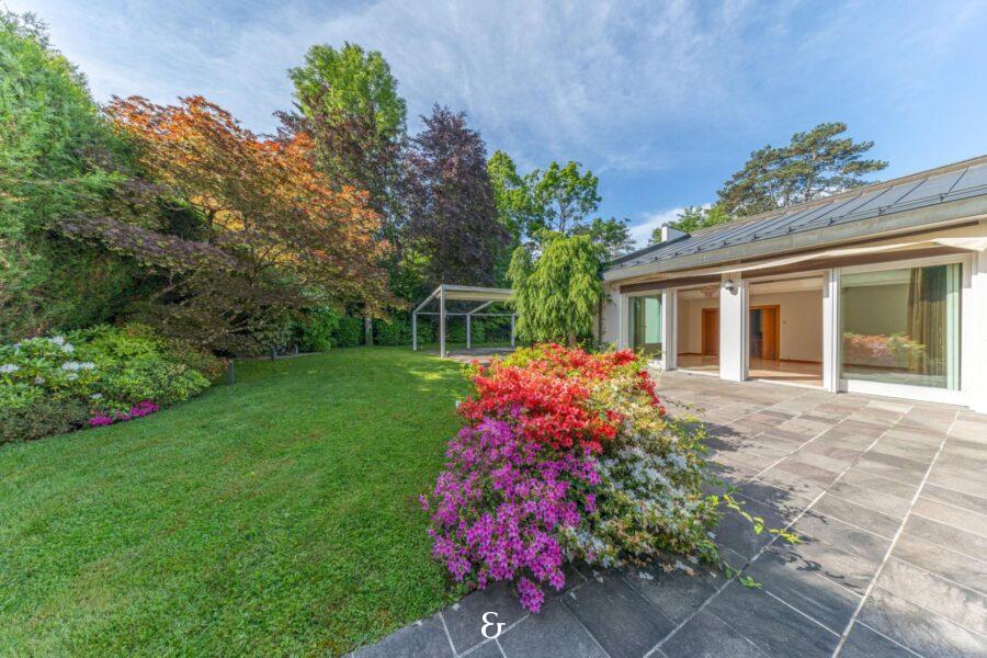 Photo 1 de l'annonce MCBFL