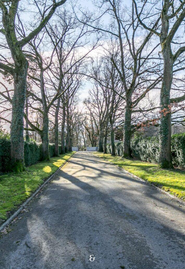 Photo 1 de l'annonce TVECHI