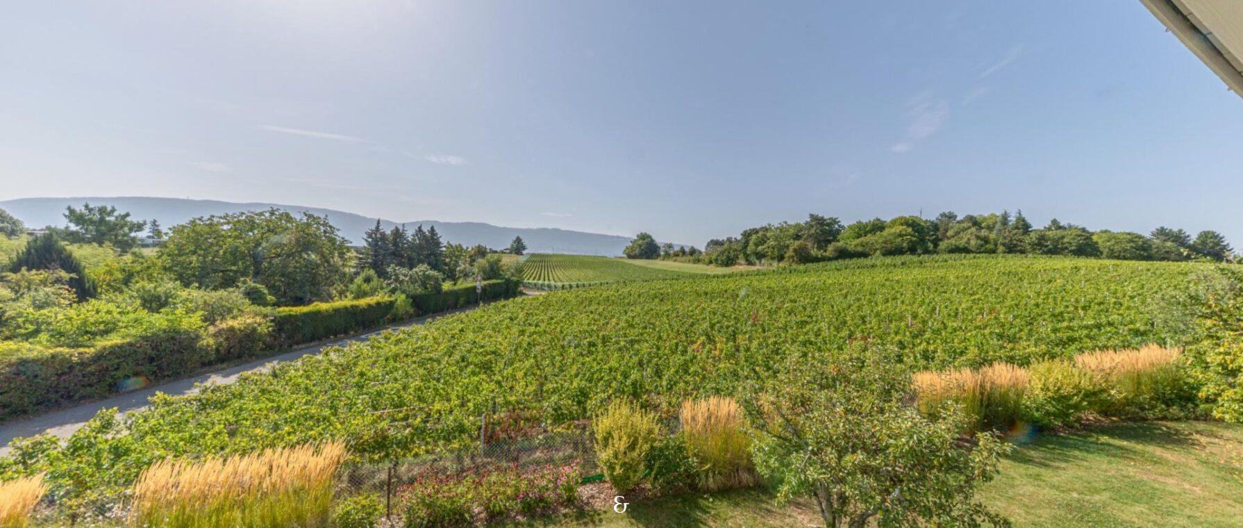 Photo 1 de l'annonce Signal 32