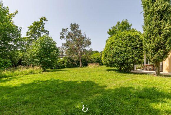 Photo 3 de l'annonce MVAS