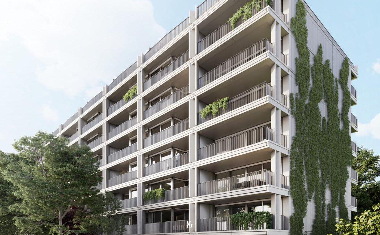 Photo 1 de l'annonce COL8_2.01