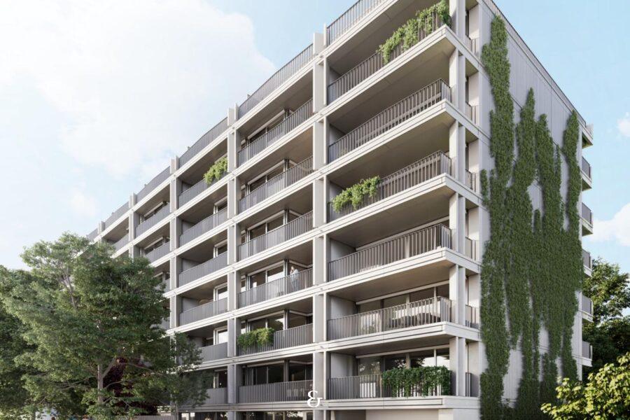 Photo 1 de l'annonce COL8_2.01