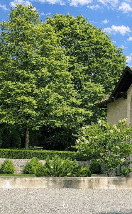 Photo 4 de l'annonce 1293.400010