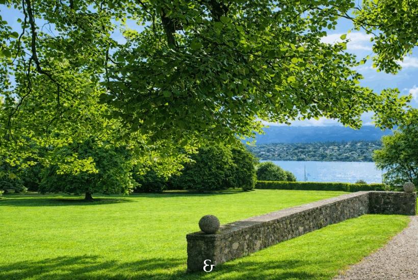 Photo 5 de l'annonce 1293.400010