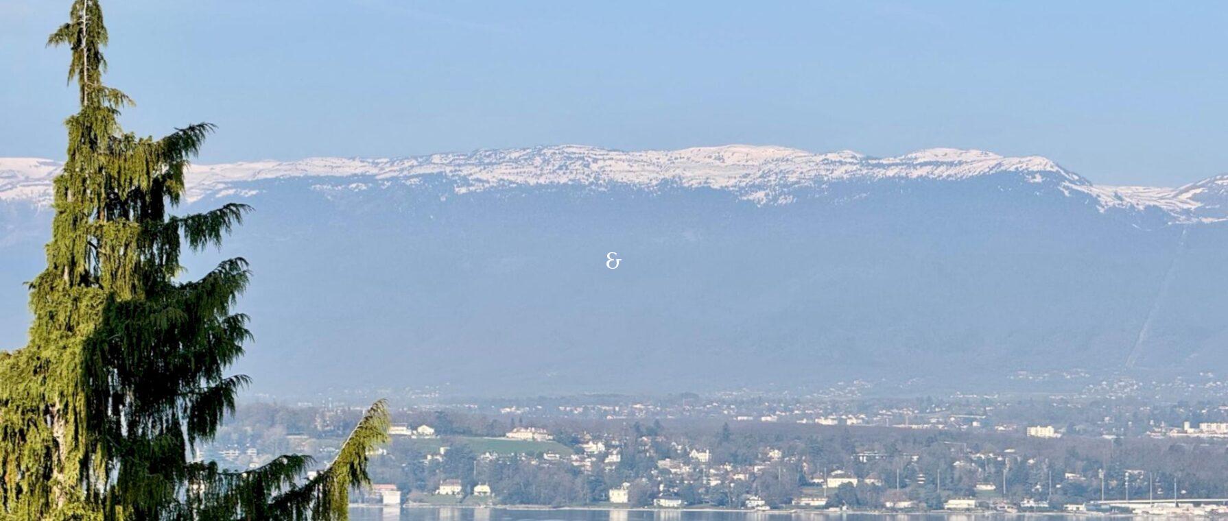 Photo 1 de l'annonce MCBLR