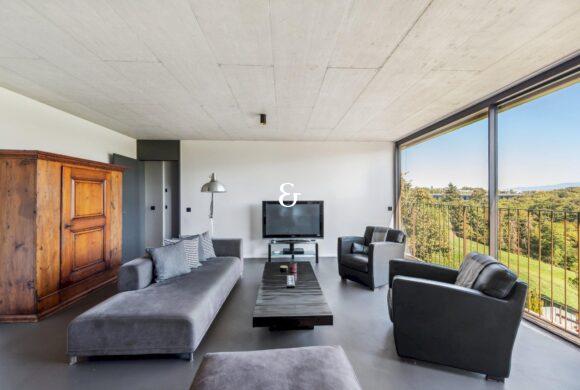 Photo 3 de l'annonce AAS