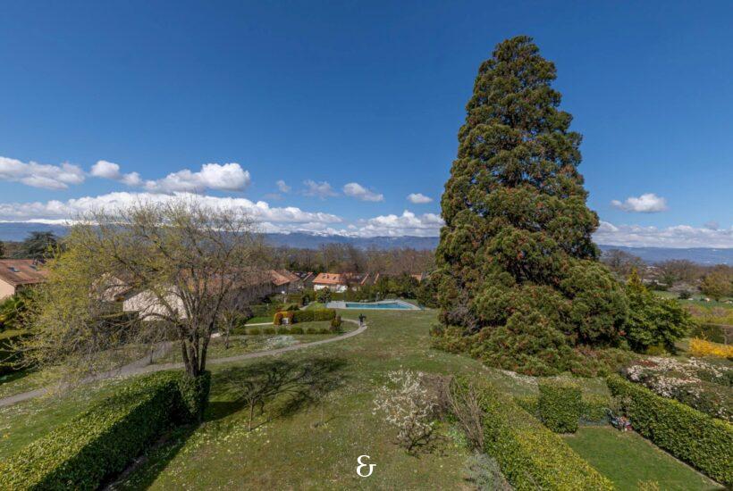 Photo 6 of the property Petray_7